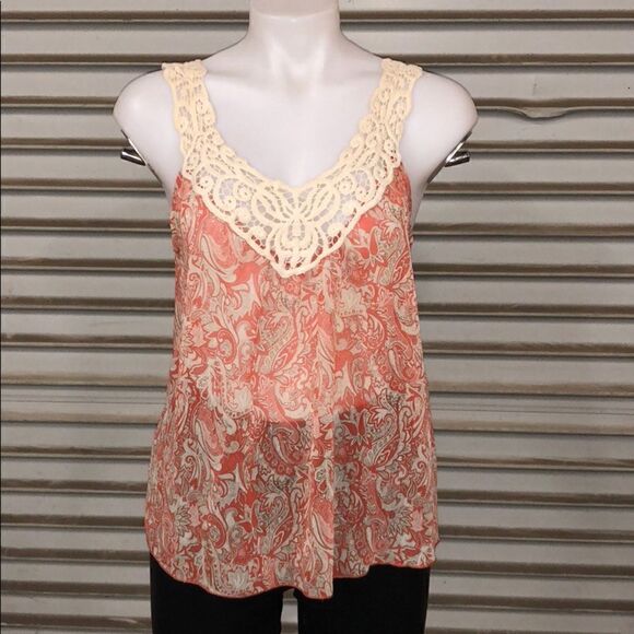 🛍️Forever 21 Fun top sheer with lace neckline - Picture 3 of 7